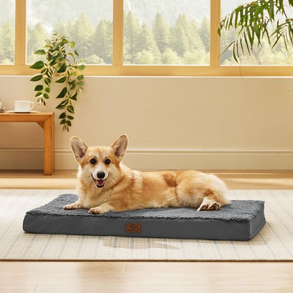 BEDSURE orthopädisches Hundebett mittelgroße Hunde - 89x56x7.6cm Hundekissen flauschig Hundematte waschbar Hundematratze in dunkelgrau für mittelgroße Hunde