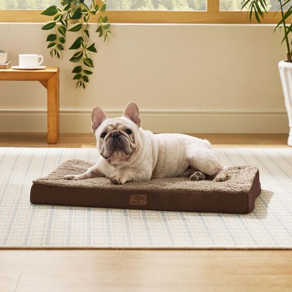 BEDSURE orthopädisches Hundebett kleine Hunde - 76x51x7.6cm Hundekissen flauschig Hundematte waschbar Hundematratze in braun für kleine Hunde