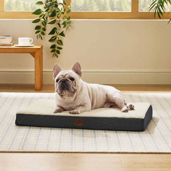 BEDSURE orthopädisches Hundebett kleine Hunde - 76x51x7.6cm Hundekissen flauschig Hundematte waschbar Hundematratze in grau für kleine Hunde