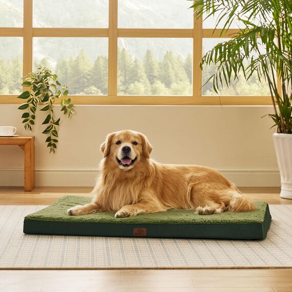 BEDSURE orthopädisches Hundebett Grosse Hunde - 112x81x7.6cm Hundekissen flauschig Hundematte waschbar Hundematratze in dunkelgrün für große Hunde