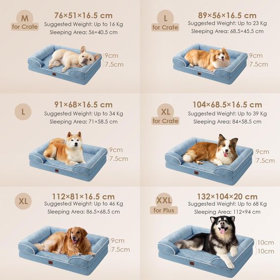 EHEYCIGA Orthopädisches Hundebett Kleine Hunde, 76x51cm, Memory Foam Hundekorb Mittelgroße Hunde, Waschbar Hundesofa Wasserdicht rutschfest, Hundecouch mit Hohem Rand, Hellblau