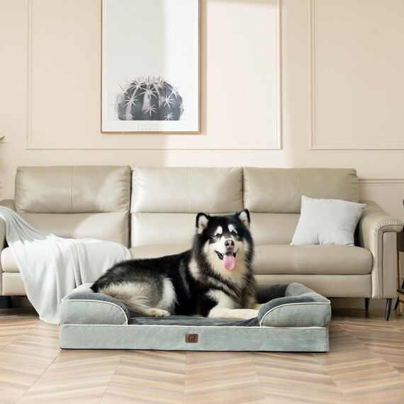EHEYCIGA Orthopädisches Hundebett Kleine Hunde, 76x51cm, Memory Foam Hundekorb Mittelgroße Hunde, Waschbar Hundesofa Wasserdicht rutschfest, Hundecouch mit Hohem Rand, Gräuliches Grün