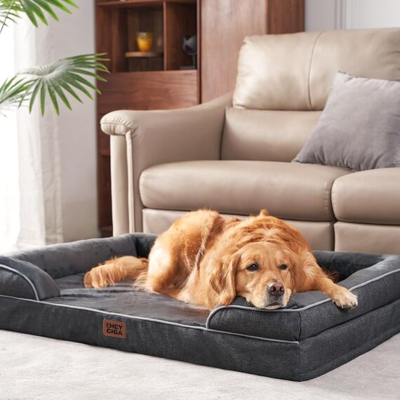 EHEYCIGA Orthopädisches Hundebett Kleine Hunde, 76x51cm, Memory Foam Hundekorb Mittelgroße Hunde, Waschbar Hundesofa Wasserdicht rutschfest, Hundecouch mit Hohem Rand, Dunkelgrau