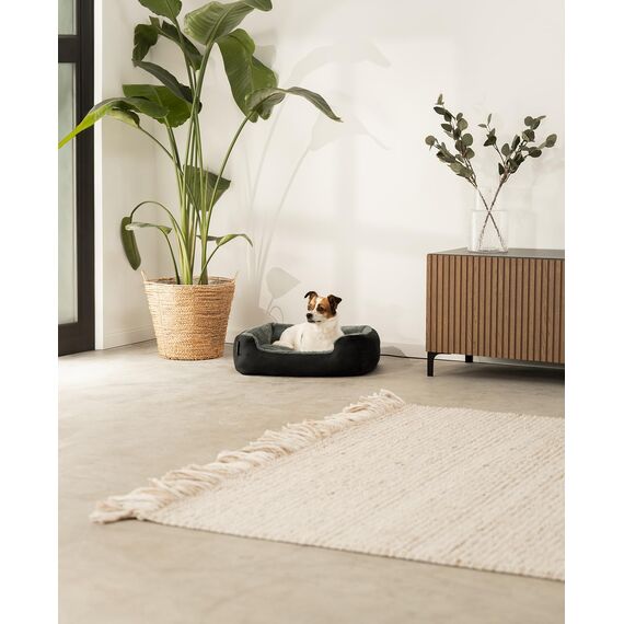 lionto Hundebett mit Wendekissen und Rutschfester Unterseite, Robustes Heimtierkissen mit tiefem Einstieg für Hunde und Katzen jeden Alters, 60x48 cm, kuscheliges Hundekissen, schwarz/grau