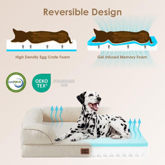 EHEYCIGA Orthopädisches Hundebett Kleine Hunde, 76x51cm, Memory Foam Hundekorb Mittelgroße Hunde, Waschbar Hundesofa Wasserdicht rutschfest, Hundecouch mit Hohem Rand, Beige