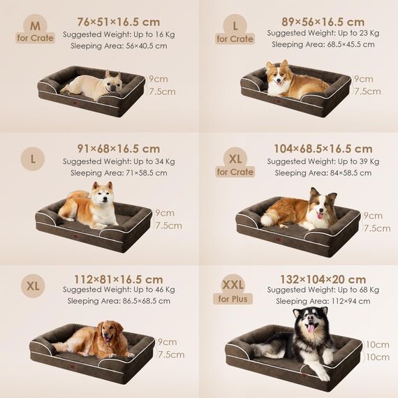 EHEYCIGA Orthopädisches Hundebett Kleine Hunde, 76x51cm, Memory Foam Hundekorb Mittelgroße Hunde, Waschbar Hundesofa Wasserdicht rutschfest, Hundecouch mit Hohem Rand, Braun