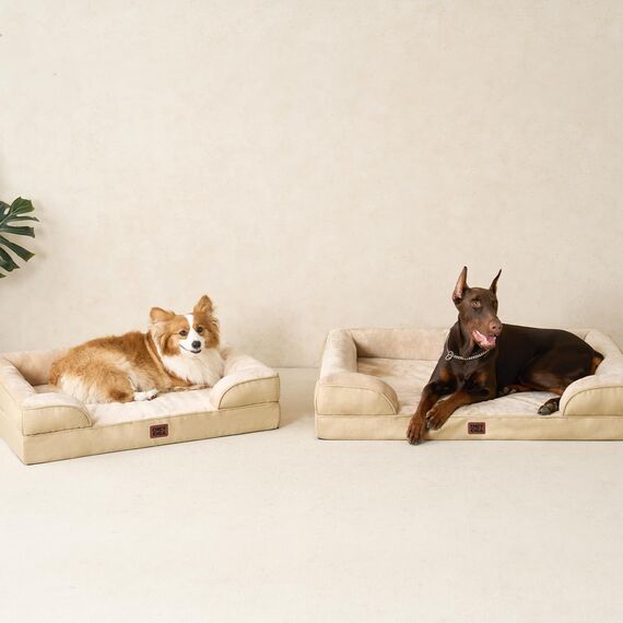 EHEYCIGA Orthopädisches Hundebett Kleine Hunde, 89x56cm, Memory Foam Hundekorb Mittelgroße Hunde, Waschbar Hundesofa Wasserdicht rutschfest, Hundecouch mit Hohem Rand, Hellbraun