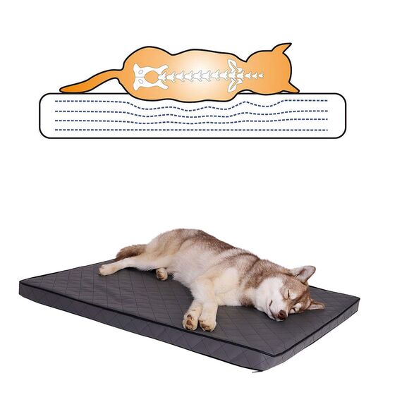 lionto Hundematte orthopädisch mit Memory-Schaumstoff, gelenkschonendes Hundekissen aus pflegeleichtem Lederimitat, 80x55 cm, Gesteppte Liegematte mit abnehmbaren Bezug und Anti-Rutsch-Belag, grau