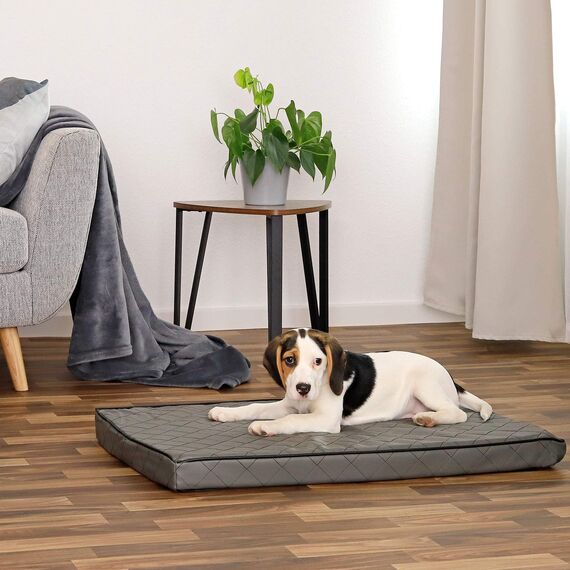 lionto Hundematte orthopädisch mit Memory-Schaumstoff, gelenkschonendes Hundekissen aus pflegeleichtem Lederimitat, 80x55 cm, Gesteppte Liegematte mit abnehmbaren Bezug und Anti-Rutsch-Belag, grau
