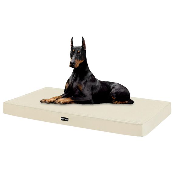 HMTOPE Orthopädisches Hundebett, 10cm Dicke Hundekissen für Grosse Hunde, Abnehmbar und Waschbar Hundematte, rutschfeste Unterseite, Wasserdichtes Innenfutter, 120 cm, Beige