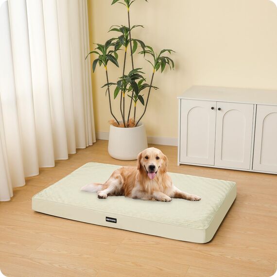HMTOPE Orthopädisches Hundebett, 10cm Dicke Hundekissen für Mittelgroße Hunde, Grosse Hunde, Abnehmbar und Waschbar Hundematte, rutschfeste Unterseite, Wasserdichtes Innenfutter, 112 cm, Beige