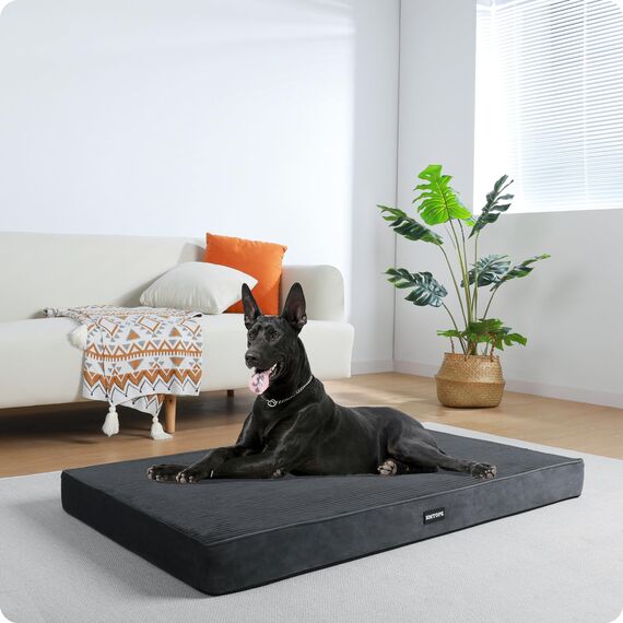 HMTOPE Orthopädisches Hundebett, 10cm Dicke Hundekissen für Grosse Hunde, Abnehmbar und Waschbar Hundematte, rutschfeste Unterseite, Wasserdichtes Innenfutter, 120 cm, Dunkelgrau