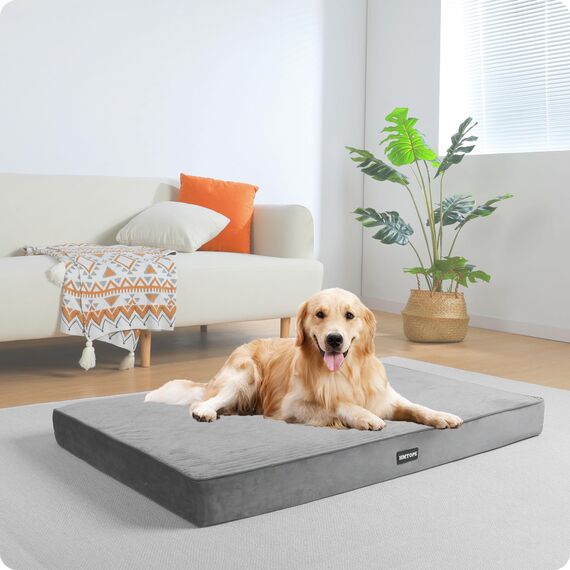 HMTOPE Orthopädisches Hundebett, 10cm Dicke Hundekissen für Mittelgroße Hunde, Grosse Hunde, Abnehmbar und Waschbar Hundematte, rutschfeste Unterseite, Wasserdichtes Innenfutter, 112 cm, Hellgrau
