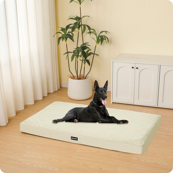 HMTOPE Orthopädisches Hundebett, 10cm Dicke Hundekissen für Grosse Hunde, Abnehmbar und Waschbar Hundematte, rutschfeste Unterseite, Wasserdichtes Innenfutter, 120 cm, Beige
