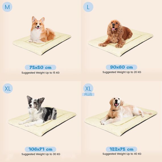 Baodan Waschbar Hundebett Mittelgroße Hunde - 90x60 cm Hundekissen flauschig Hundedecke rutschfest Hundebetten für mittelgroße Hunde, beige
