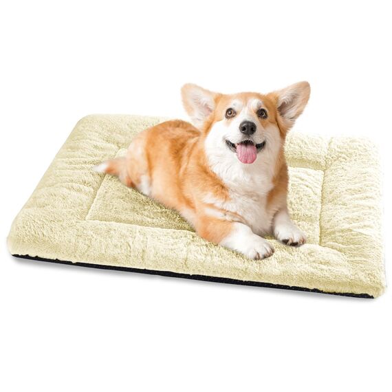 Baodan Hundebett Mittelgroße Kleine Hunde, Hundekissen Waschbar für kleine mittelgroße Hunde, Dog Bed - 75x50 cm Superweich Katzenbett mit Rutschfester Unterseite - Beige