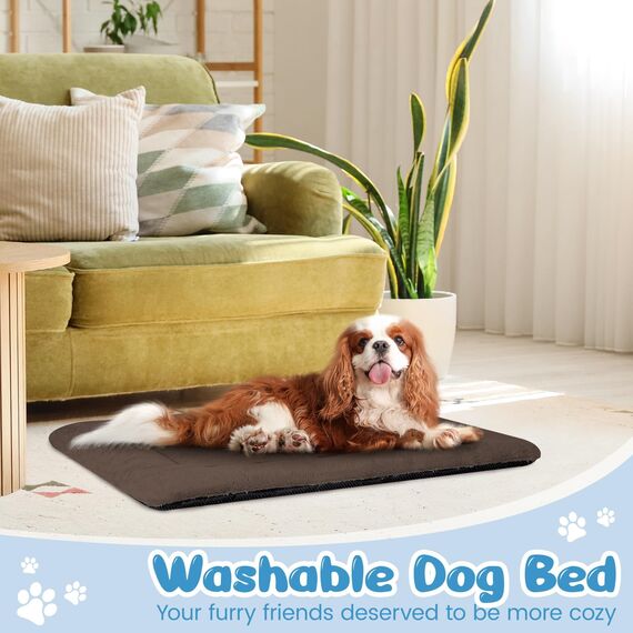 Baodan Hundebett Mittelgroße Hunde Waschbar, 90x60 cm Hundekissen Flauschig mit rutschfeste Unterseite, Hundebetten für Mittelgroße Hunde, braun