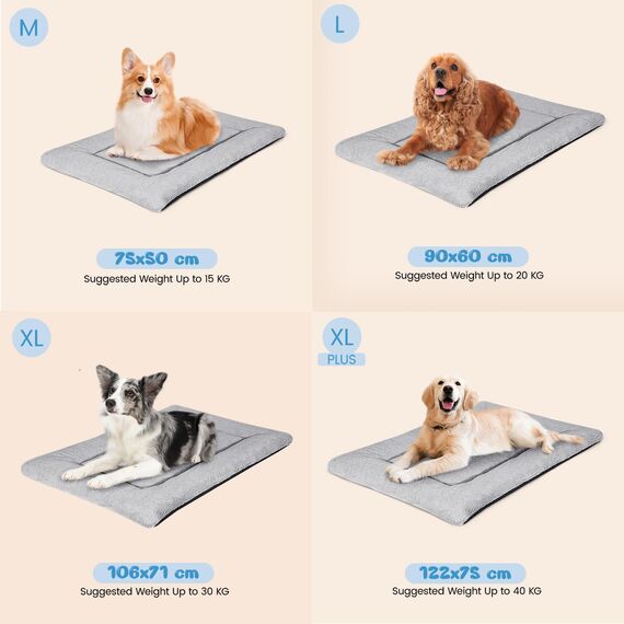 Baodan Hundebett Kleine Hunde Waschbar, 75x50 cm Hundekissen Flauschig mit rutschfeste Unterseite, Hundebetten für Kleine Mittelgroße Hunde, Grau