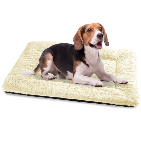 Baodan Waschbar Hundebett Mittelgroße Hunde - 90x60 cm Hundekissen flauschig Hundedecke rutschfest Hundebetten für mittelgroße Hunde, beige