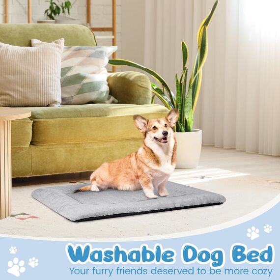 Baodan Hundebett Kleine Hunde Waschbar, 75x50 cm Hundekissen Flauschig mit rutschfeste Unterseite, Hundebetten für Kleine Mittelgroße Hunde, Grau