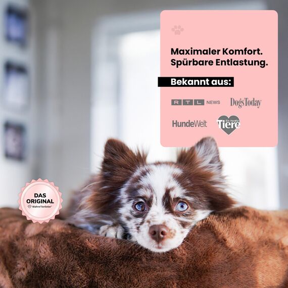 Wahre Tierliebe Orthopädisches Hundebett Deluxe für Kleine bis Große Hunde - Made in Germany - Waschbar & Formstabil - Flauschiges Hundekörbchen mit Hohem Rand für Sicherheit & Geborgenheit