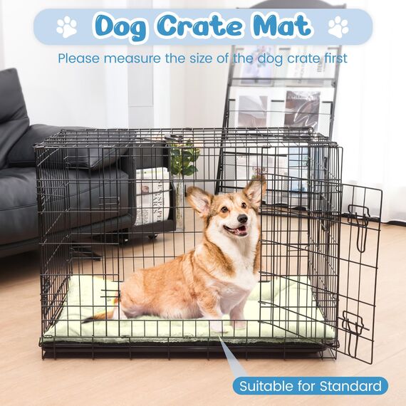 Baodan Hundebett Mittelgroße Kleine Hunde, Hundekissen Waschbar für kleine mittelgroße Hunde, Dog Bed - 75x50 cm Superweich Katzenbett mit Rutschfester Unterseite - Beige