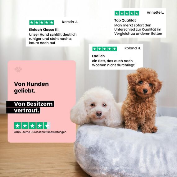 Wahre Tierliebe Orthopädisches Hundebett Deluxe für Kleine bis Große Hunde - Made in Germany - Waschbar & Formstabil - Flauschiges Hundekörbchen mit Hohem Rand für Sicherheit & Geborgenheit