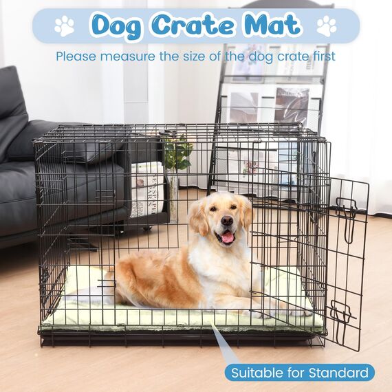 Baodan Hundebett Grosse Hunde, Hundekissen Waschbar Dog Bed - 122x75 cm Superweich Katzenbett mit Rutschfester Unterseite - Beige
