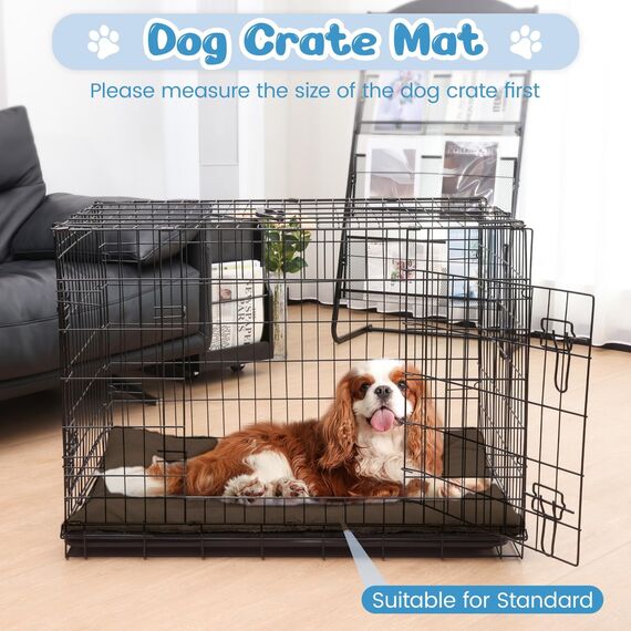 Baodan Hundebett Mittelgroße Hunde Waschbar, 90x60 cm Hundekissen Flauschig mit rutschfeste Unterseite, Hundebetten für Mittelgroße Hunde, braun