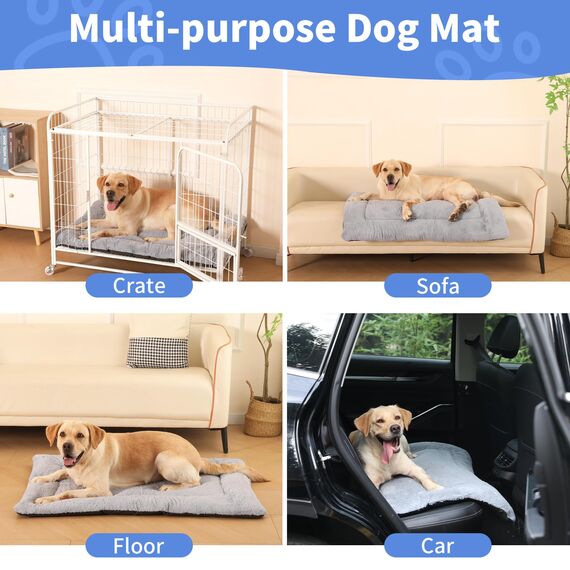 Baodan Hundebett Grosse Hunde Waschbar, 106x71 cm Hundekissen Flauschig mit rutschfeste Unterseite, XL Hundebetten für Große Hunde, Grau
