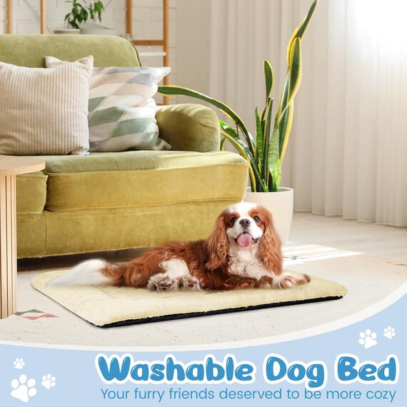 Baodan Waschbar Hundebett Mittelgroße Hunde - 90x60 cm Hundekissen flauschig Hundedecke rutschfest Hundebetten für mittelgroße Hunde, beige