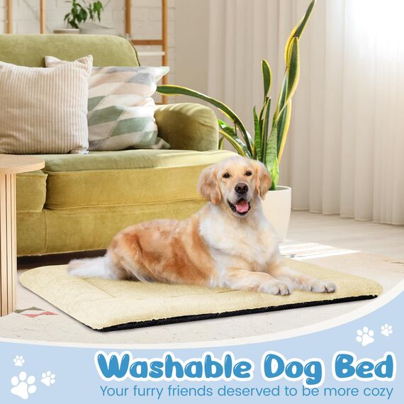 Baodan Hundebett Grosse Hunde, Hundekissen Waschbar Dog Bed - 122x75 cm Superweich Katzenbett mit Rutschfester Unterseite - Beige