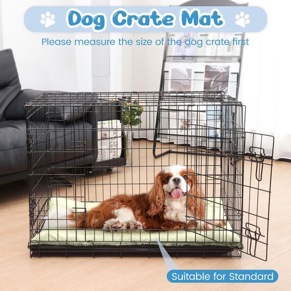 Baodan Waschbar Hundebett Mittelgroße Hunde - 90x60 cm Hundekissen flauschig Hundedecke rutschfest Hundebetten für mittelgroße Hunde, beige