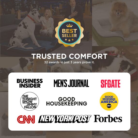 BEDSURE orthopädisches Hundebett Ergonomisches Hundesofa - 71x58 cm Hundecouch mit eierförmiger Kistenschaum für kleine Hunde, waschbar rutschfest Hundebetten, haselnussbraun