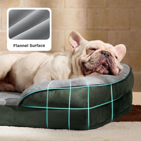 BEDSURE orthopädisches Hundebett Ergonomisches Hundesofa - 71x58 cm Hundecouch mit eierförmiger Kistenschaum für kleine Hunde, waschbar rutschfest Hundebetten, tannengrün