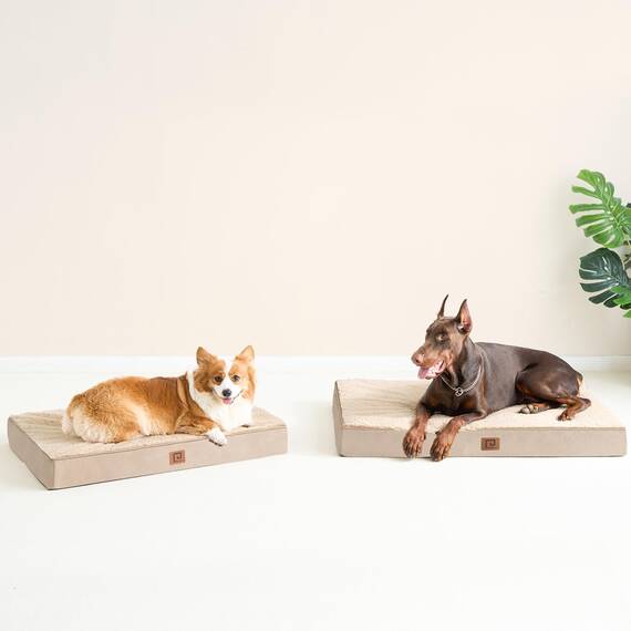 EHEYCIGA Orthopädisches Hundebett Mittelgroße Hunde 89x58x9cm, Hundekissen Waschbar Flauschig,Hundematte Hundematratze für Kiste, Khaki