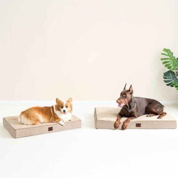 EHEYCIGA Orthopädisches Hundebett XXL Grosse Hunde 120x74x9cm, Hundekissen Waschbar Flauschig, Hundematte Hundematratze für Kiste, Khaki