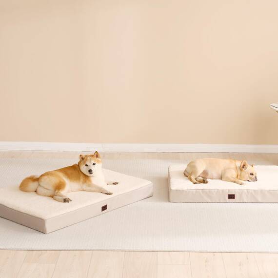 EHEYCIGA Orthopädisches Hundebett Grosse Hunde XL 112x81x9cm, Hundekissen Waschbar Flauschig, Hundematte Hundematratze für Kiste, Kamel