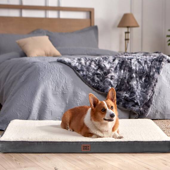 EHEYCIGA Orthopädisches Hundebett XXL Grosse Hunde 120x74x9cm, Hundekissen Waschbar Flauschig, Hundematte Hundematratze für Kiste, Beige