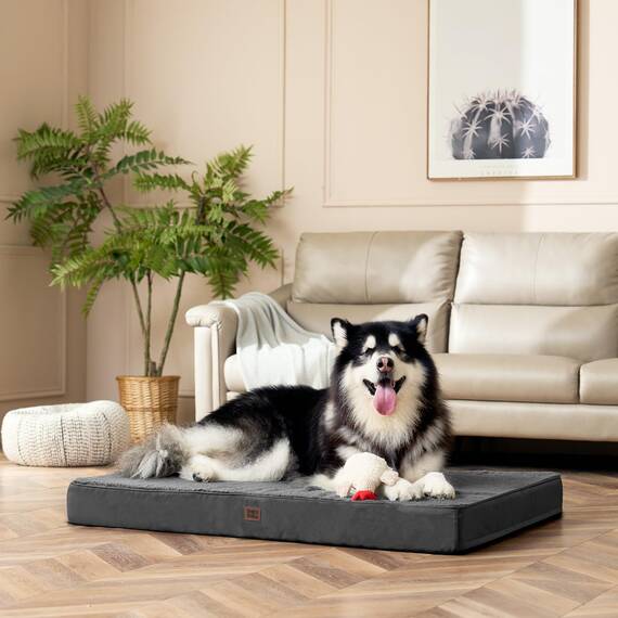 EHEYCIGA Orthopädisches Hundebett Grosse Hunde XL 112x81x9cm, Hundekissen Waschbar Flauschig, Hundematte Hundematratze für Kiste, Grau