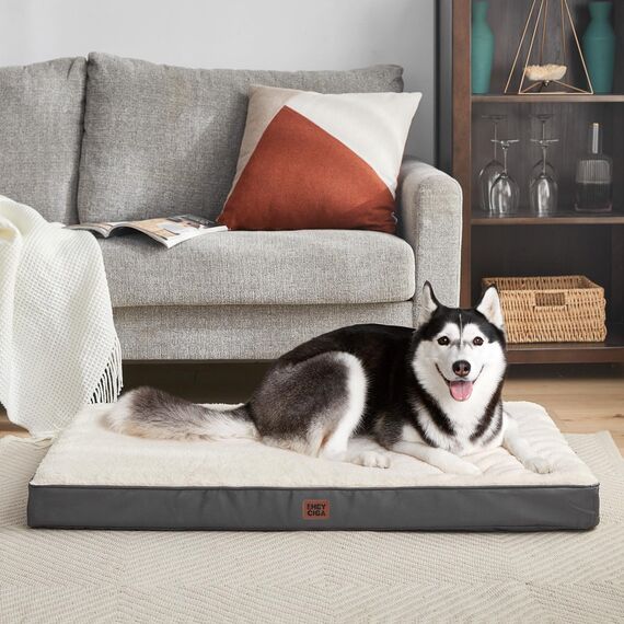 EHEYCIGA Orthopädisches Hundebett Grosse Hunde XL 104x68x9cm, Hundekissen Waschbar Flauschig, Hundematte Hundematratze für Kiste, Beige
