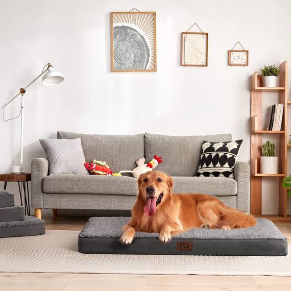 EHEYCIGA Orthopädisches Hundebett Mittelgroße Hunde 91x68x9cm, Hundekissen Waschbar Flauschig, Hundematte Hundematratze für Kiste, Grau