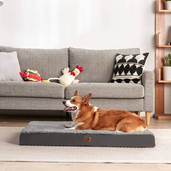EHEYCIGA Orthopädisches Hundebett Kleine Hunde 76x51x9cm, Hundekissen Waschbar Flauschig, Hundematte Hundematratze für Kiste, Grau