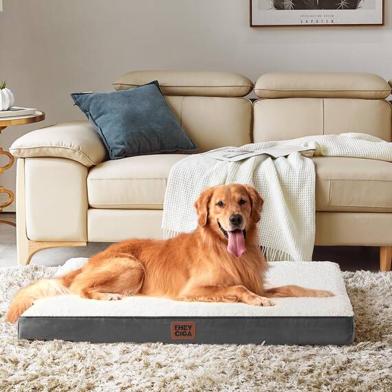 EHEYCIGA Orthopädisches Hundebett Kleine Hunde 76x51x9cm, Hundekissen Waschbar Flauschig, Hundematte Hundematratze für Kiste, Beige