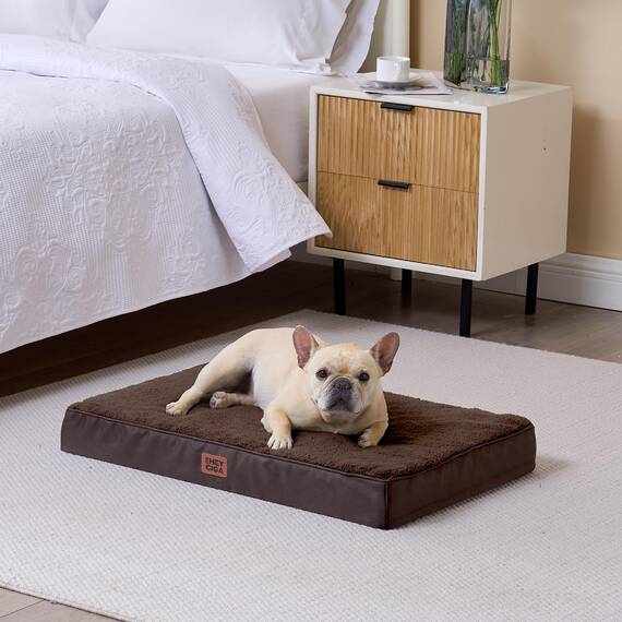 EHEYCIGA Orthopädisches Hundebett Kleine Hunde 76x51x9cm, Hundekissen Waschbar Flauschig, Hundematte Hundematratze für Kiste, Braun
