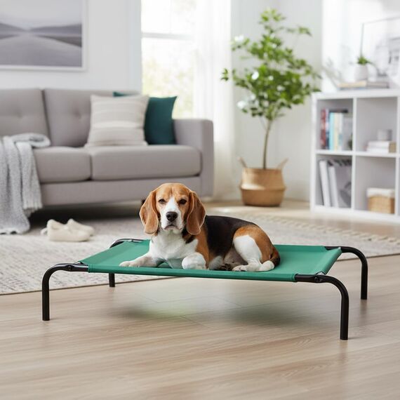 Amazon Basics Kühlendes erhöhtes Hund Haustierbett, Grün, Größe M, L 110 x B 65 x H 19 cm