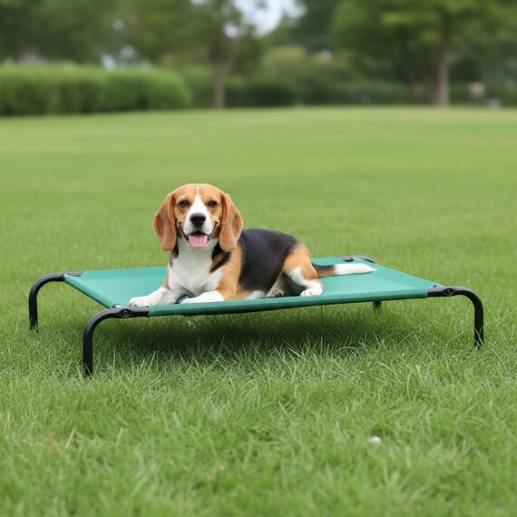 Amazon Basics Kühlendes erhöhtes Hund Haustierbett, Grün, Größe M, L 110 x B 65 x H 19 cm