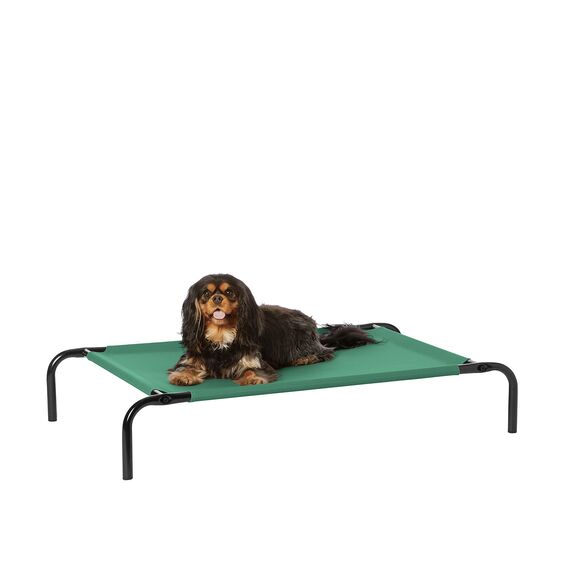 Amazon Basics Kühlendes erhöhtes Haustierbett Hund, Größe S, Grün