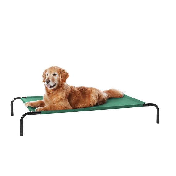 Amazon Basics Kühlendes erhöhtes Hund Haustierbett, Grün, Größe L, L 130 x B 80 x H 19 cm