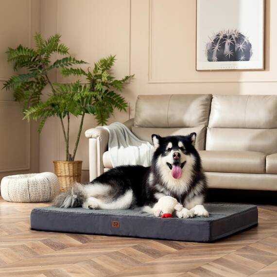 EHEYCIGA Orthopädisches Hundebett XXL Grosse Hunde 127x91x10cm, Hundekissen Waschbar Flauschig, Hundematte Hundematratze für Kiste, Grau